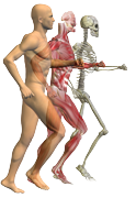 Oakleigh Physio